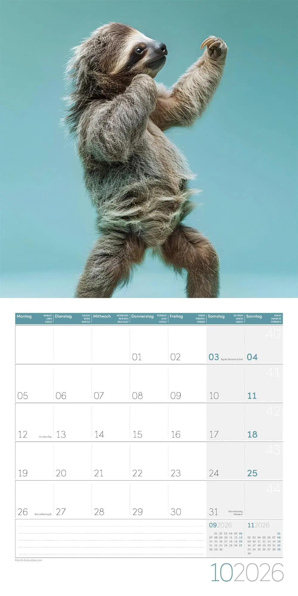 Bild: 9783838446189 | Dancing Animals Kalender 2026 - 30x30 | Ackermann Kunstverlag GmbH
