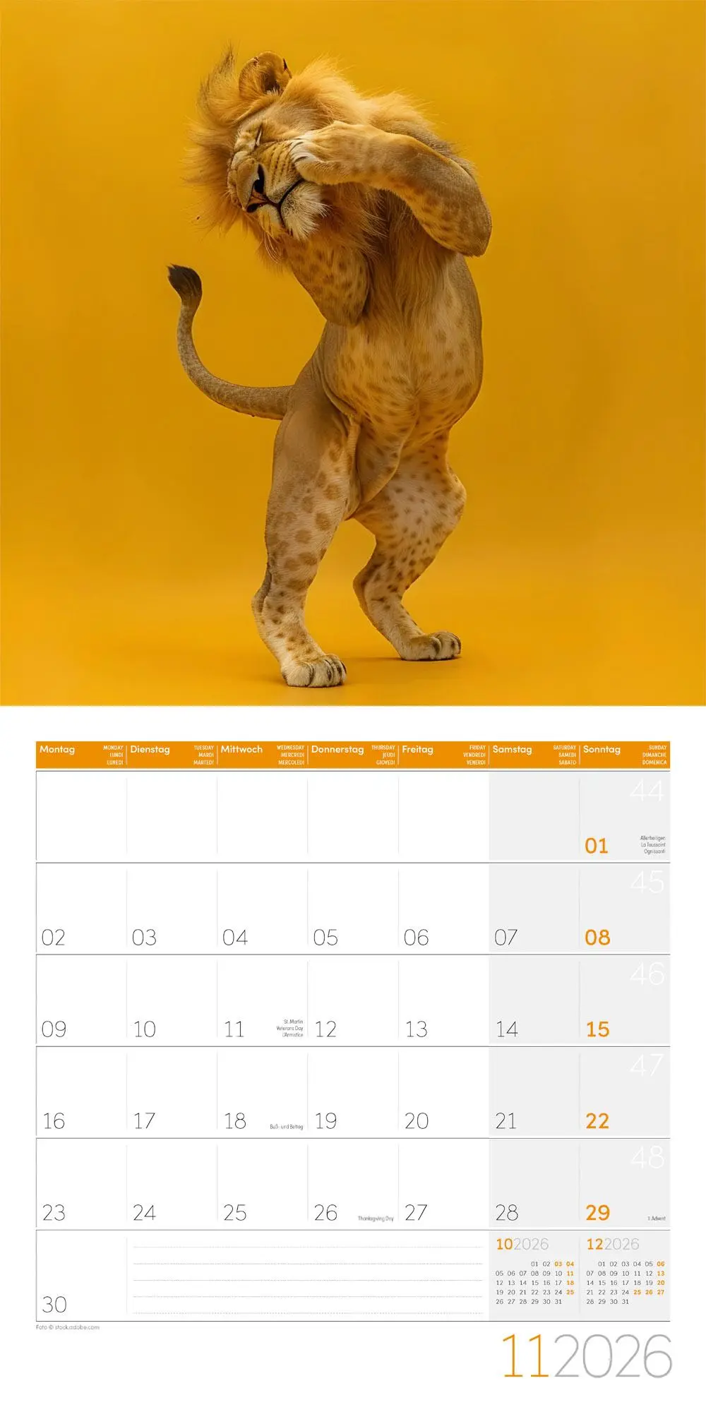 Bild: 9783838446189 | Dancing Animals Kalender 2026 - 30x30 | Ackermann Kunstverlag GmbH