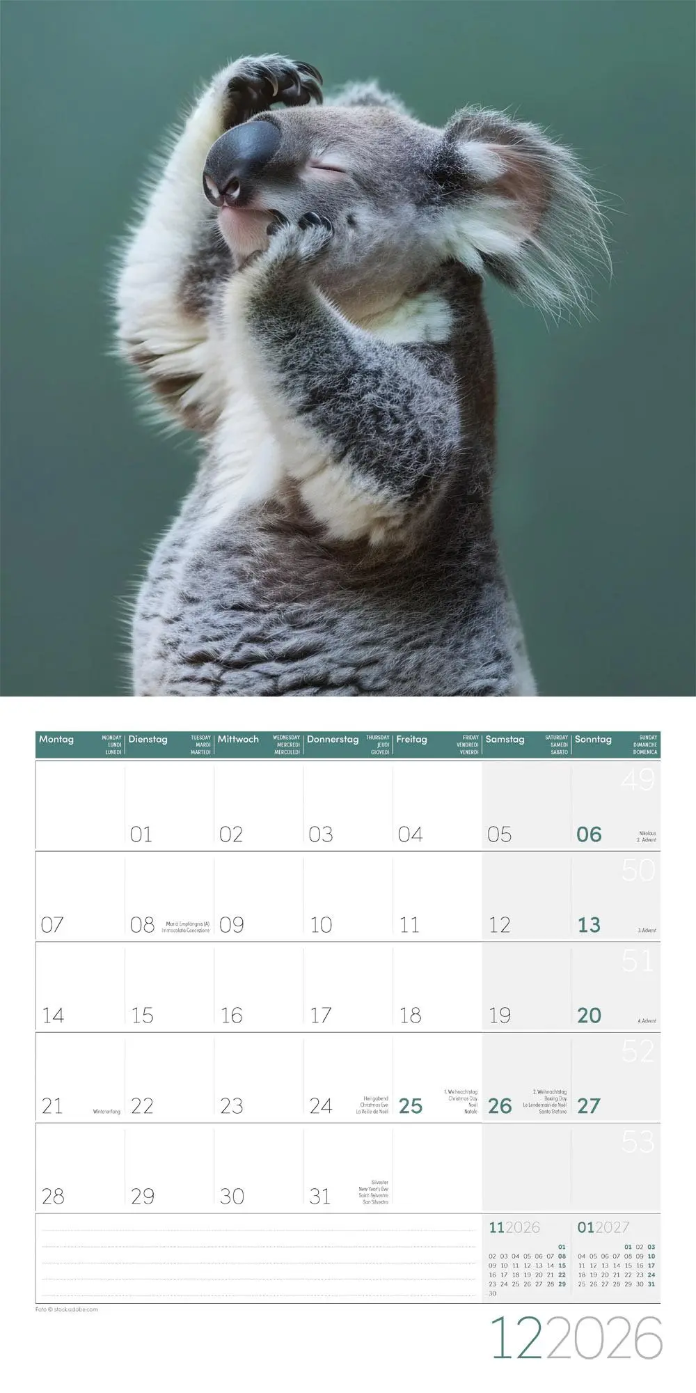 Bild: 9783838446189 | Dancing Animals Kalender 2026 - 30x30 | Ackermann Kunstverlag GmbH
