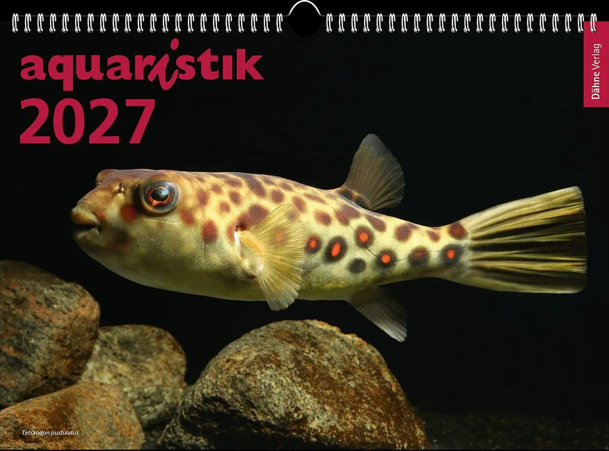 Cover: 9783911226189 | aquaristik 2027 | Foto-Wandkalender | Daniel Konn-Vetterlein | 13 S.