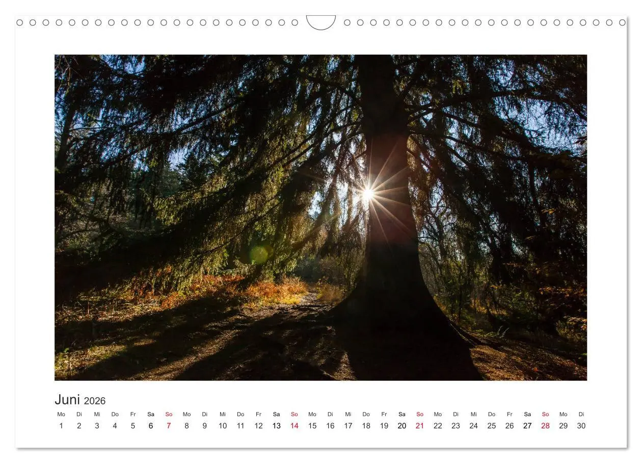 Bild: 9783457806289 | Kasseler Landschaften (Wandkalender 2026 DIN A3 quer), CALVENDO...