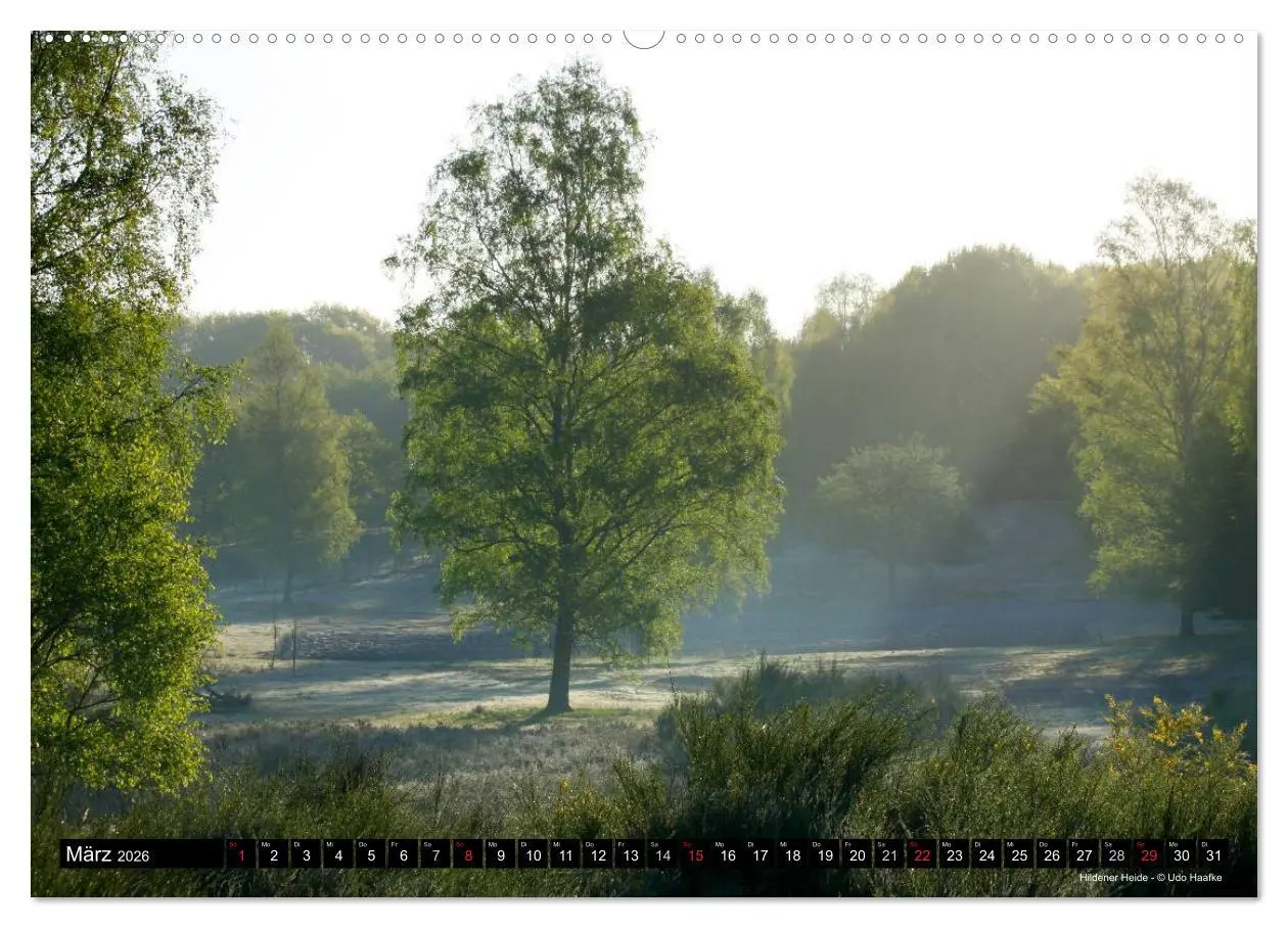 Bild: 9783516066289 | Hildener Bilderbogen 2026 (Wandkalender 2026 DIN A2 quer), CALVENDO...