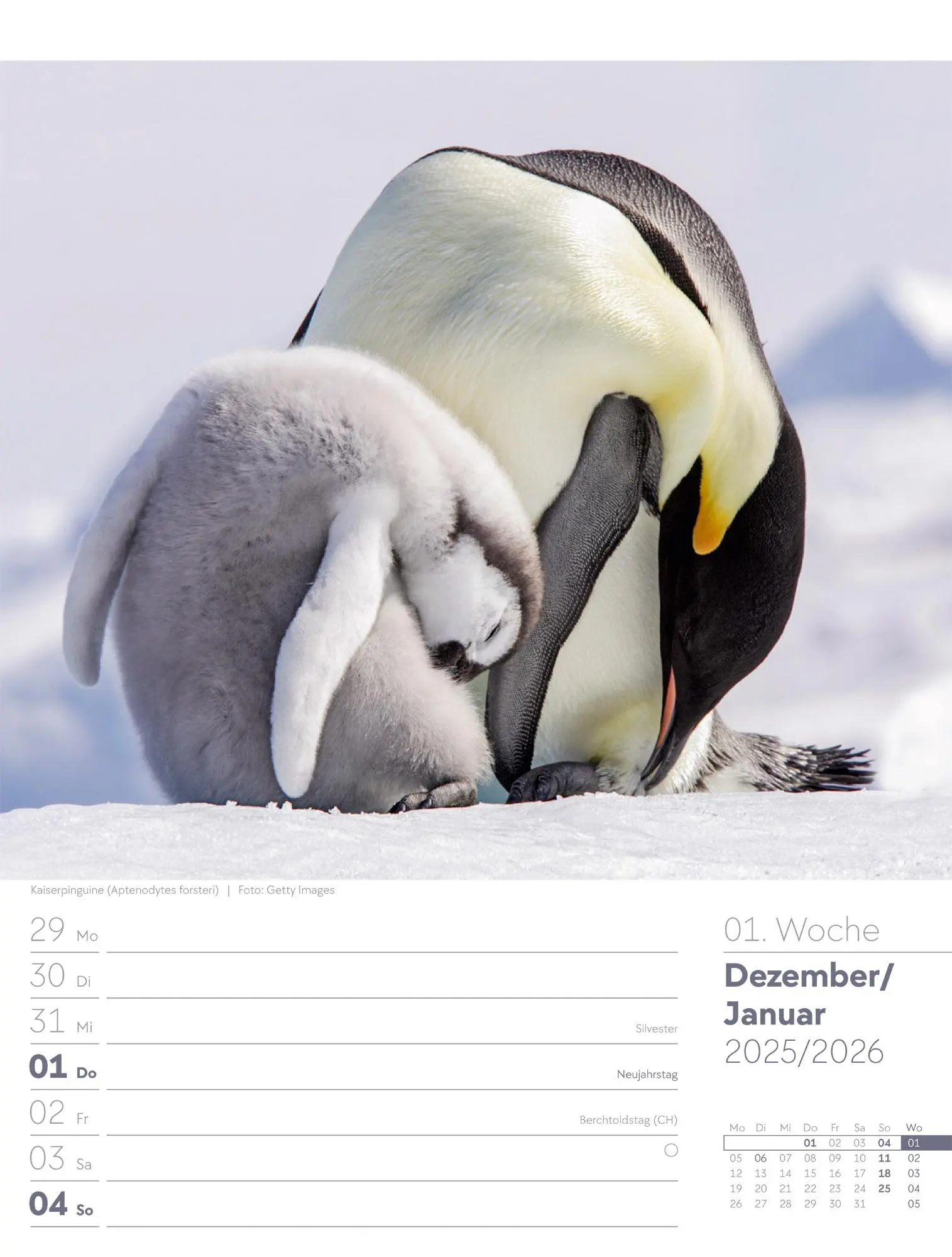 Bild: 9783838436289 | Vögel - Tier-Wochenplaner 2026 | Ackermann Kunstverlag GmbH | Kalender