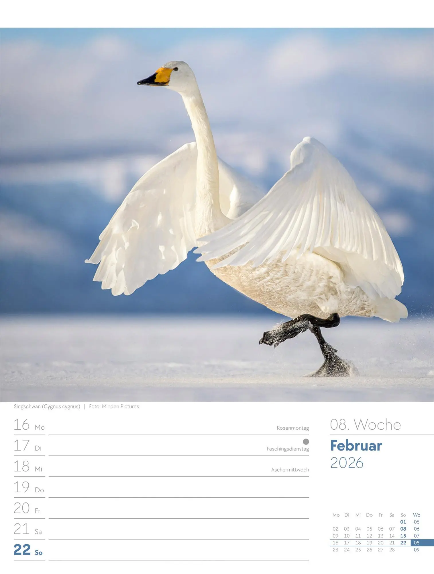Bild: 9783838436289 | Vögel - Tier-Wochenplaner 2026 | Ackermann Kunstverlag GmbH | Kalender