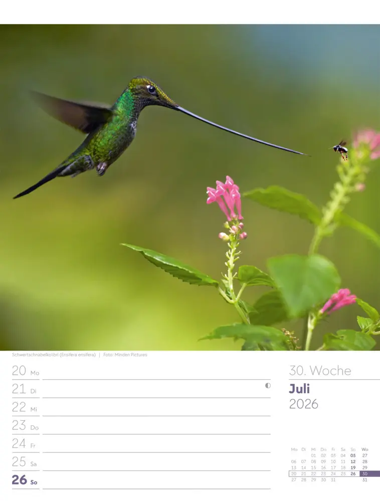 Bild: 9783838436289 | Vögel Wochenplaner Kalender 2026 | Ackermann Kunstverlag GmbH | 2026