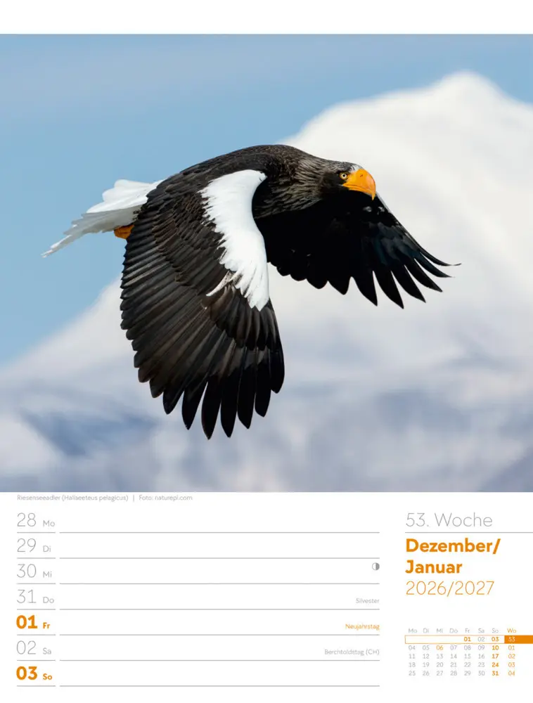 Bild: 9783838436289 | Vögel Wochenplaner Kalender 2026 | Ackermann Kunstverlag GmbH | 2026