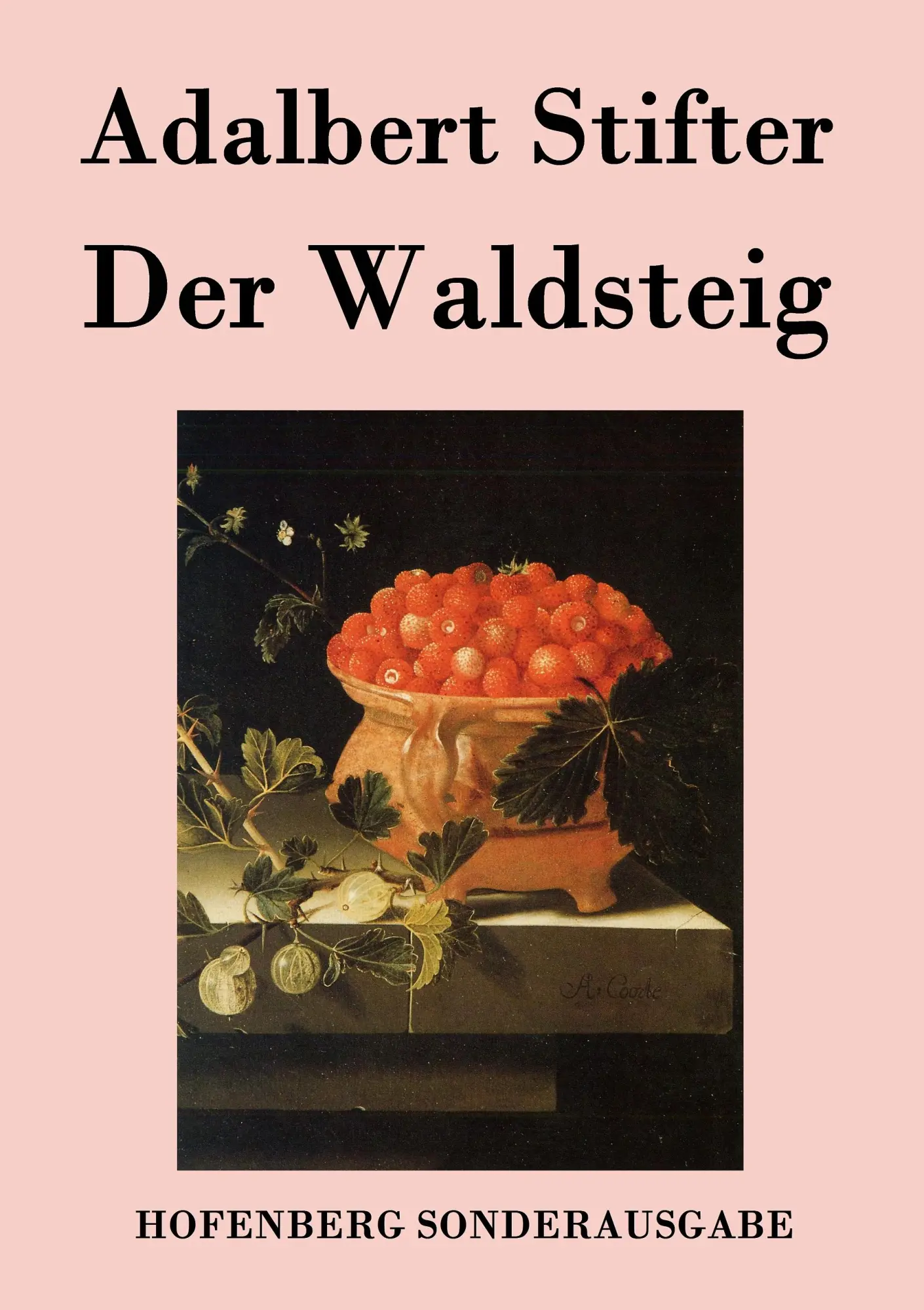 Cover: 9783843076289 | Der Waldsteig | Adalbert Stifter | Taschenbuch | 60 S. | Deutsch