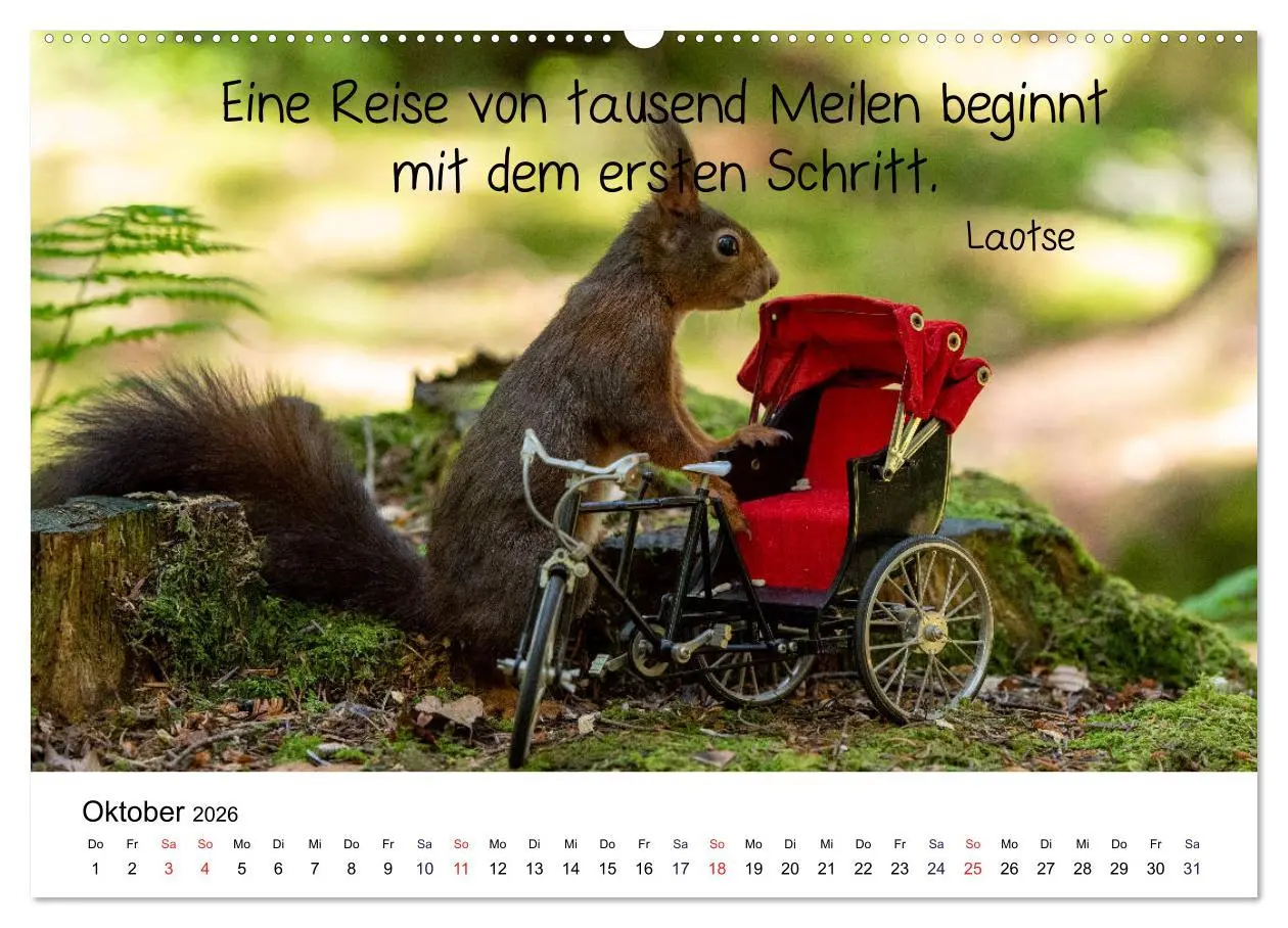 Bild: 9783457896389 | Der literarische Eichhörnchen-Kalender (Wandkalender 2026 DIN A2...