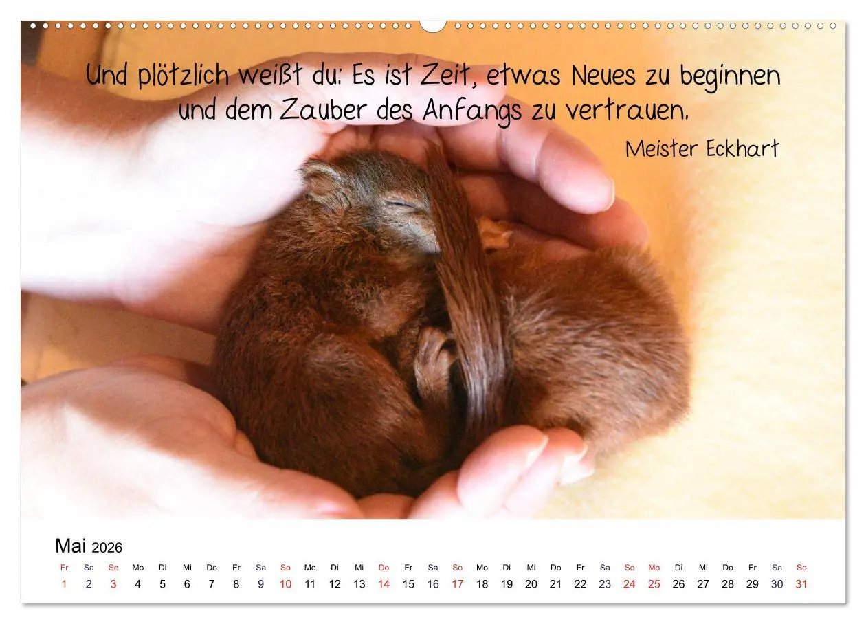 Bild: 9783457896389 | Der literarische Eichhörnchen-Kalender (Wandkalender 2026 DIN A2...