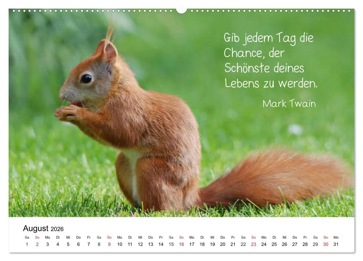 Bild: 9783457896389 | Der literarische Eichhörnchen-Kalender (Wandkalender 2026 DIN A2...