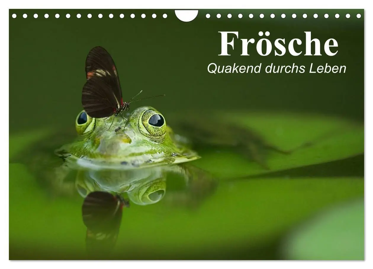 Cover: 9783516056389 | Frösche. Quakend durchs Leben (Wandkalender 2026 DIN A4 quer),...