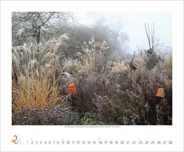 Bild: 9783731886389 | Gartenträume 2026 | Verlag Korsch | Kalender | Spiralbindung | 14 S.