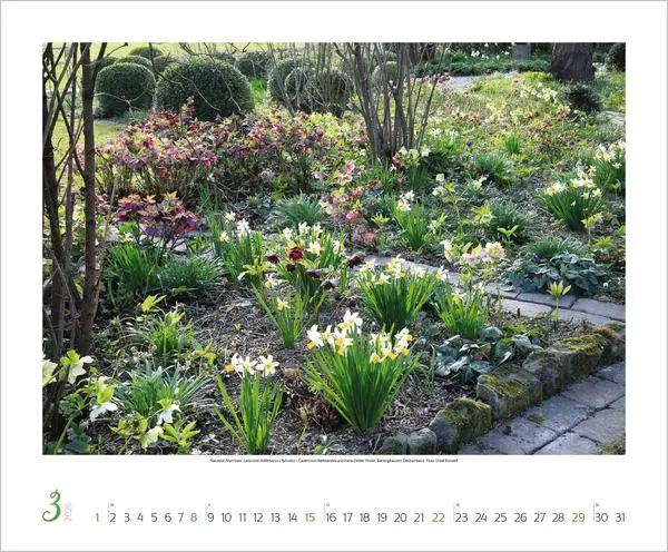 Bild: 9783731886389 | Gartenträume 2026 | Verlag Korsch | Kalender | Spiralbindung | 14 S.