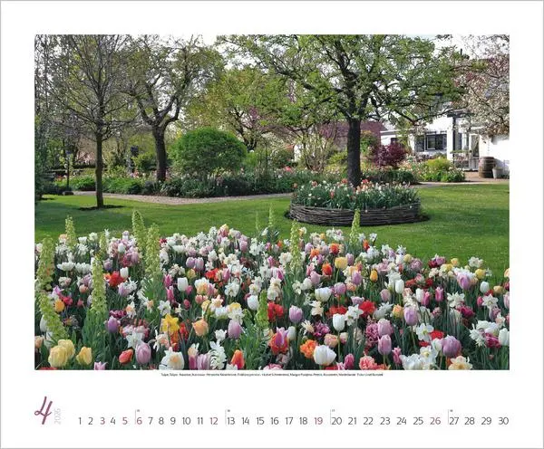 Bild: 9783731886389 | Gartenträume 2026 | Verlag Korsch | Kalender | Spiralbindung | 14 S.