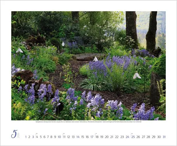 Bild: 9783731886389 | Gartenträume 2026 | Verlag Korsch | Kalender | Spiralbindung | 14 S.