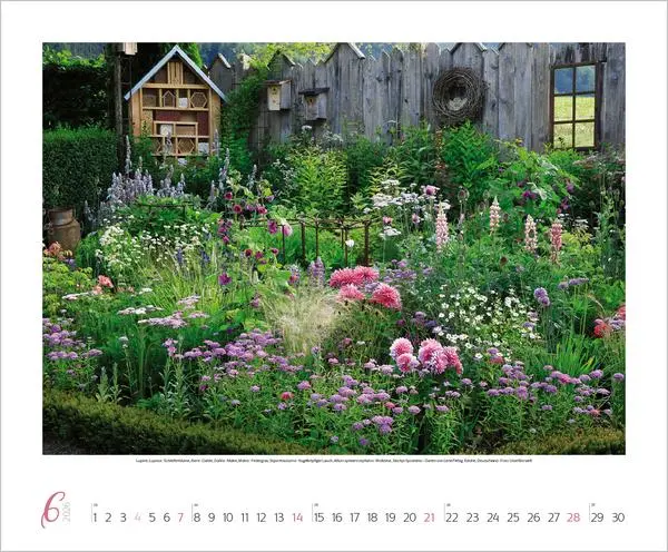 Bild: 9783731886389 | Gartenträume 2026 | Verlag Korsch | Kalender | Spiralbindung | 14 S.