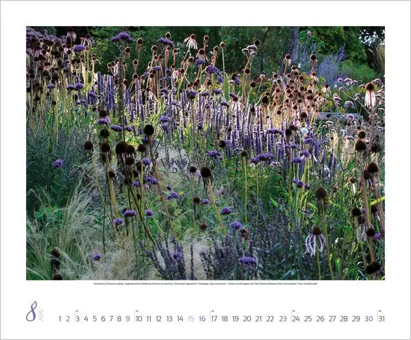 Bild: 9783731886389 | Gartenträume 2026 | Verlag Korsch | Kalender | Spiralbindung | 14 S.