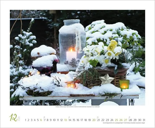 Bild: 9783731886389 | Gartenträume 2026 | Verlag Korsch | Kalender | Spiralbindung | 14 S.