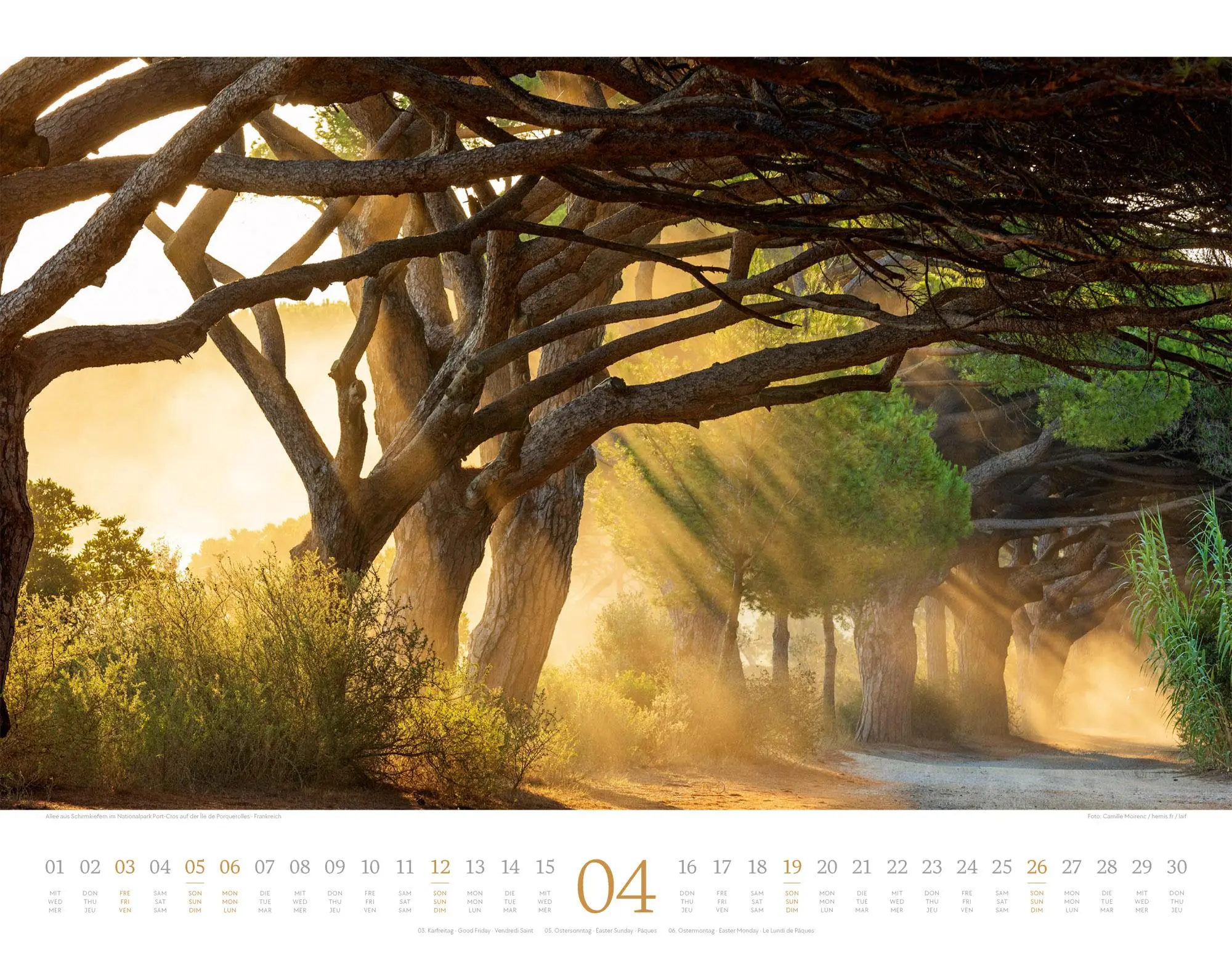 Bild: 9783838426389 | Morgenlicht Kalender 2026 | Ackermann Kunstverlag GmbH | Kalender