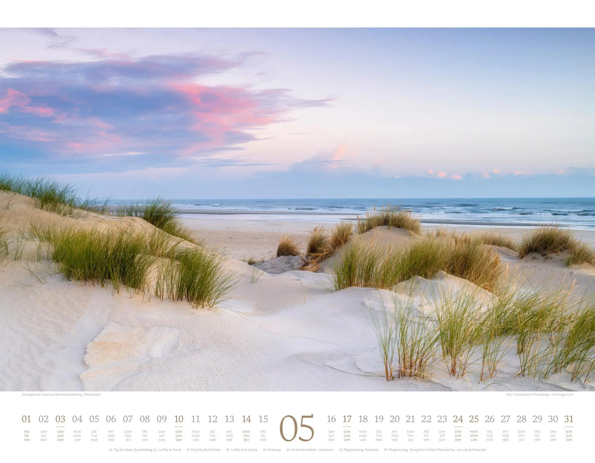 Bild: 9783838426389 | Morgenlicht Kalender 2026 | Ackermann Kunstverlag GmbH | Kalender