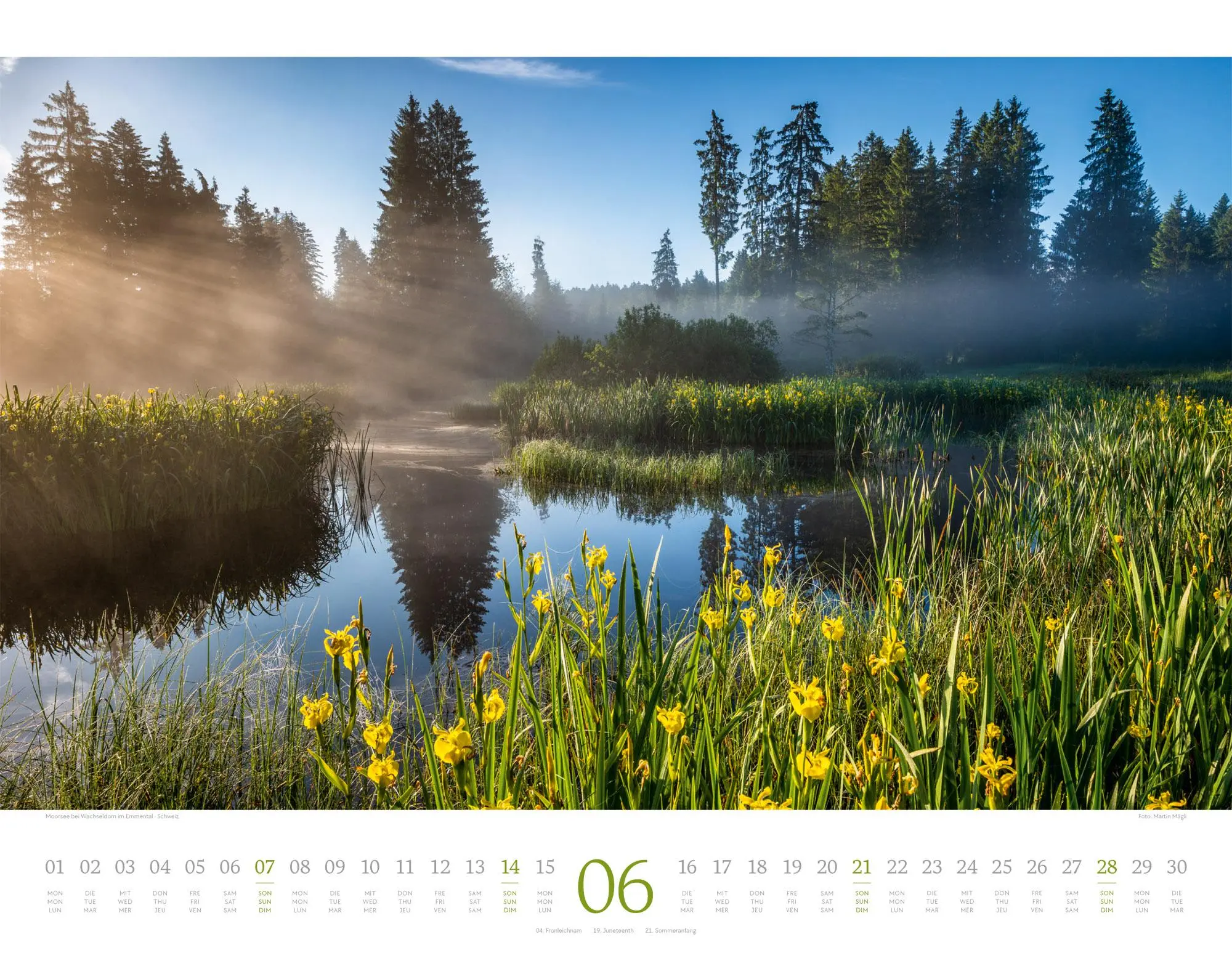 Bild: 9783838426389 | Morgenlicht Kalender 2026 | Ackermann Kunstverlag GmbH | Kalender