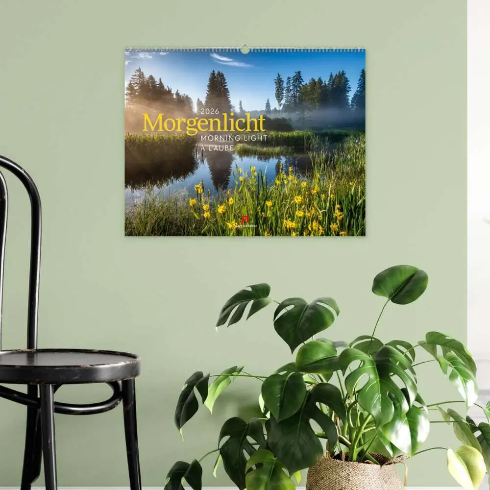Bild: 9783838426389 | Morgenlicht Kalender 2026 | Ackermann Kunstverlag GmbH | Kalender