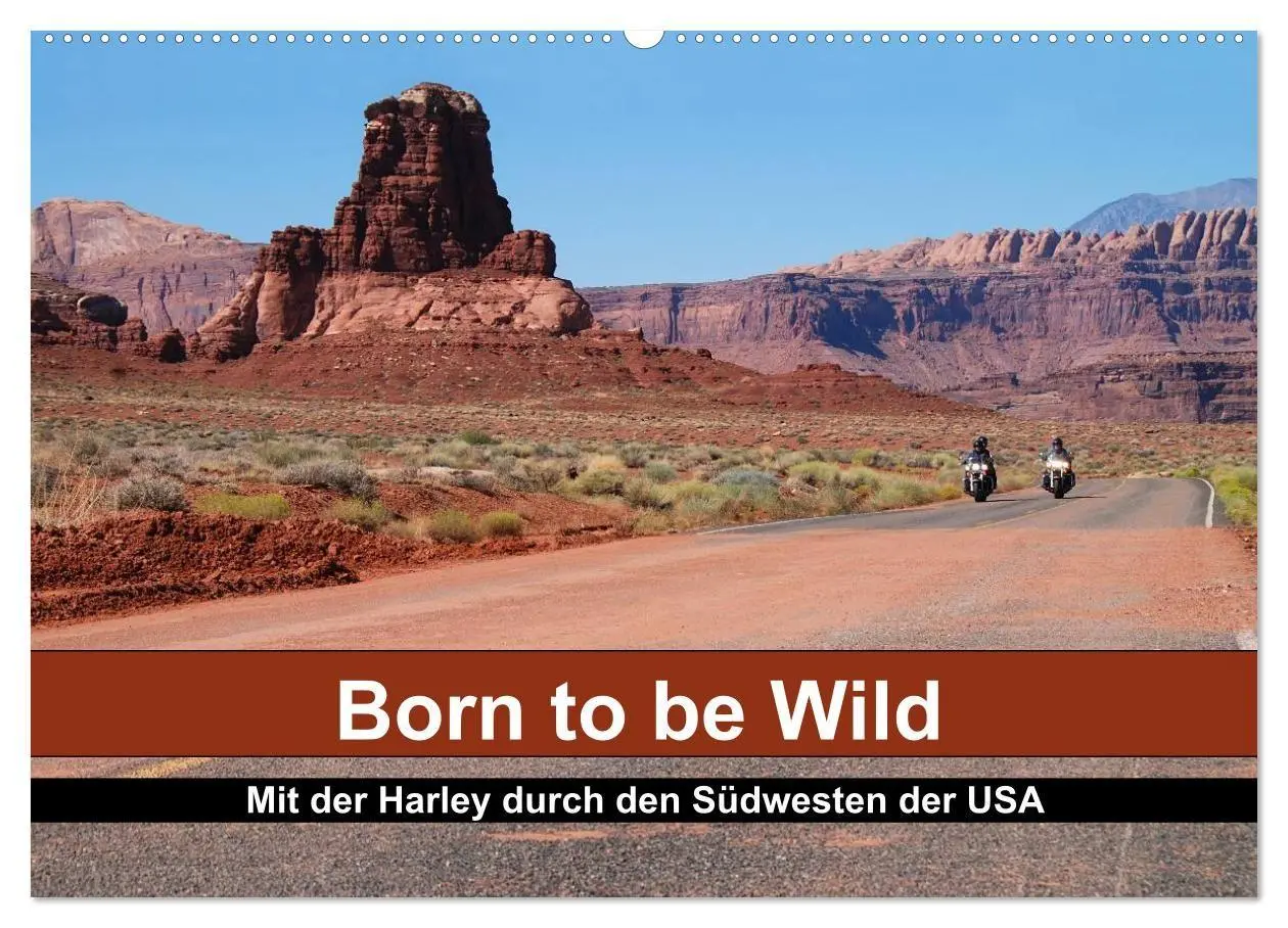 Cover: 9783594196489 | Born to be Wild - Mit der Harley durch den Südwesten der USA...