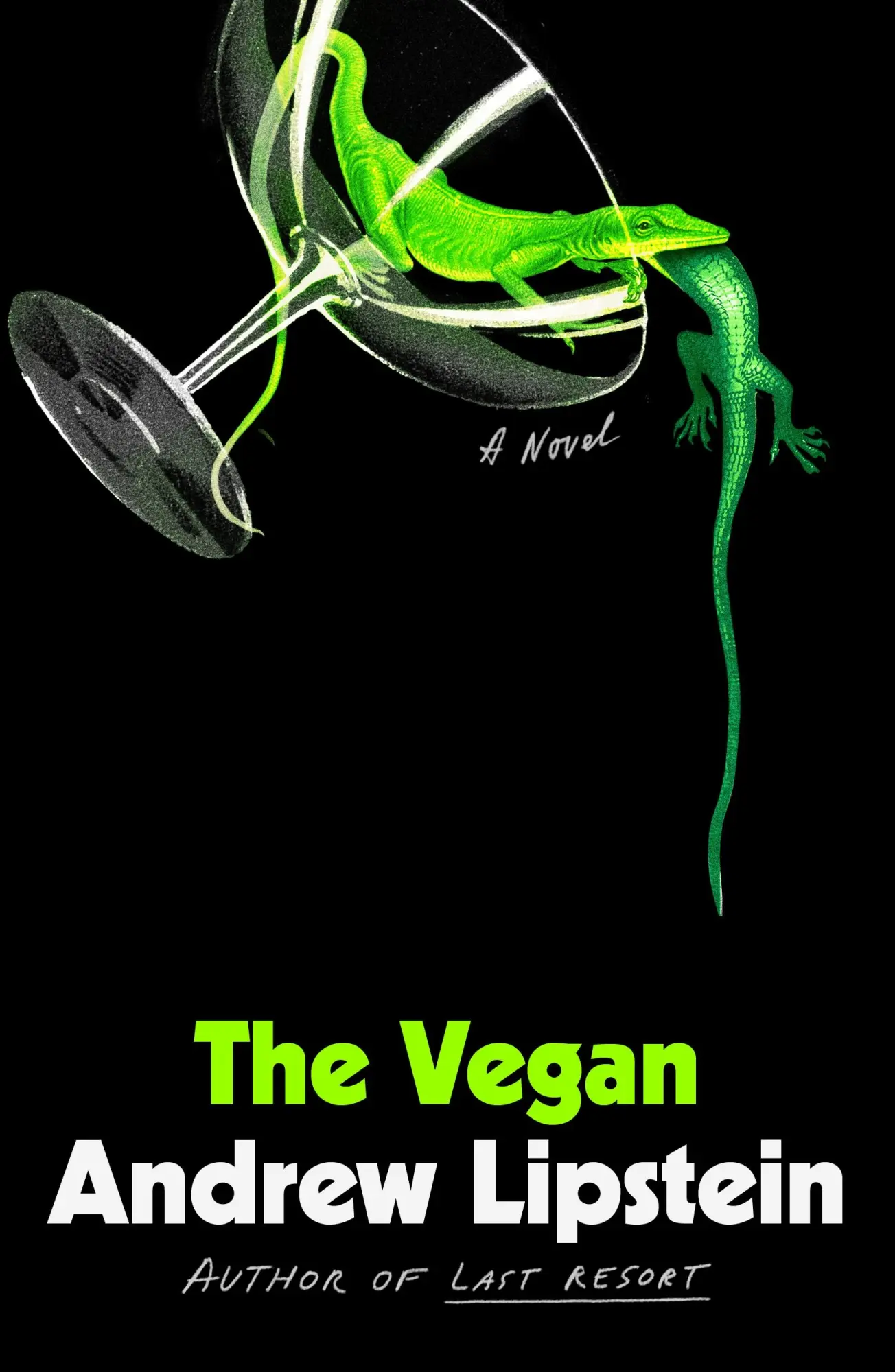 Cover: 9780374606589 | The Vegan | Andrew Lipstein | Buch | Englisch | 2023