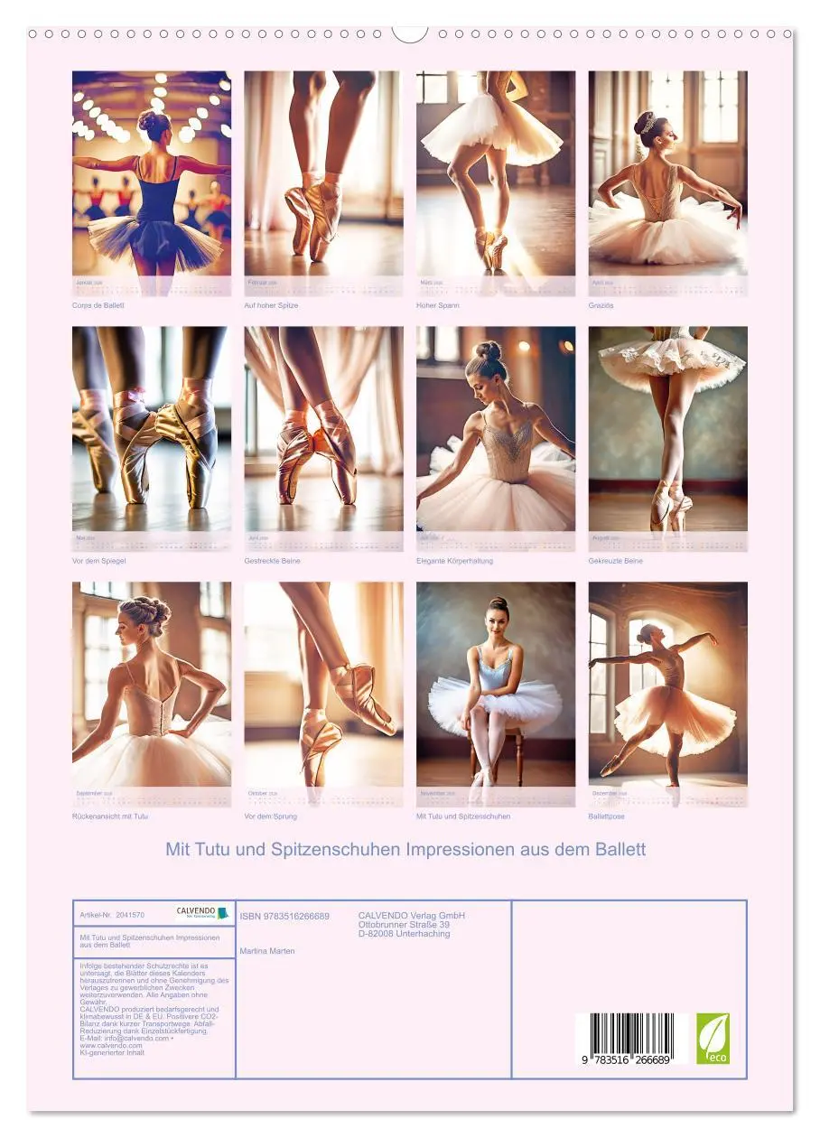 Bild: 9783516266689 | Mit Tutu und Spitzenschuhen Impressionen aus dem Ballett...