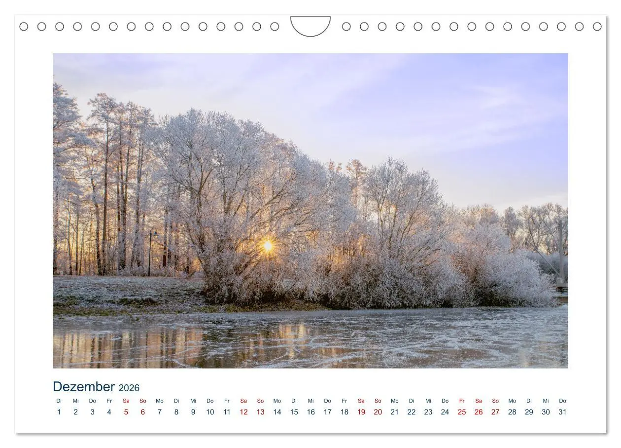 Bild: 9783457546789 | Perle Niedersachsen - Dümmer-See (Wandkalender 2026 DIN A4 quer),...