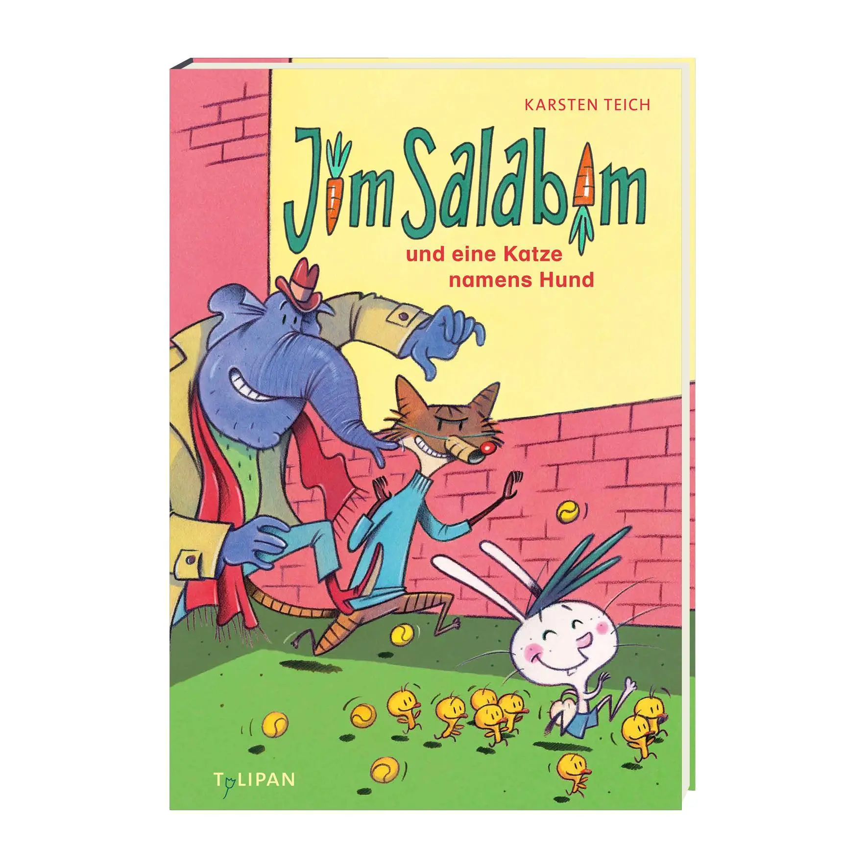 Bild: 9783864296789 | Jim Salabim und eine Katze namens Hund | Karsten Teich | Buch | 60 S.