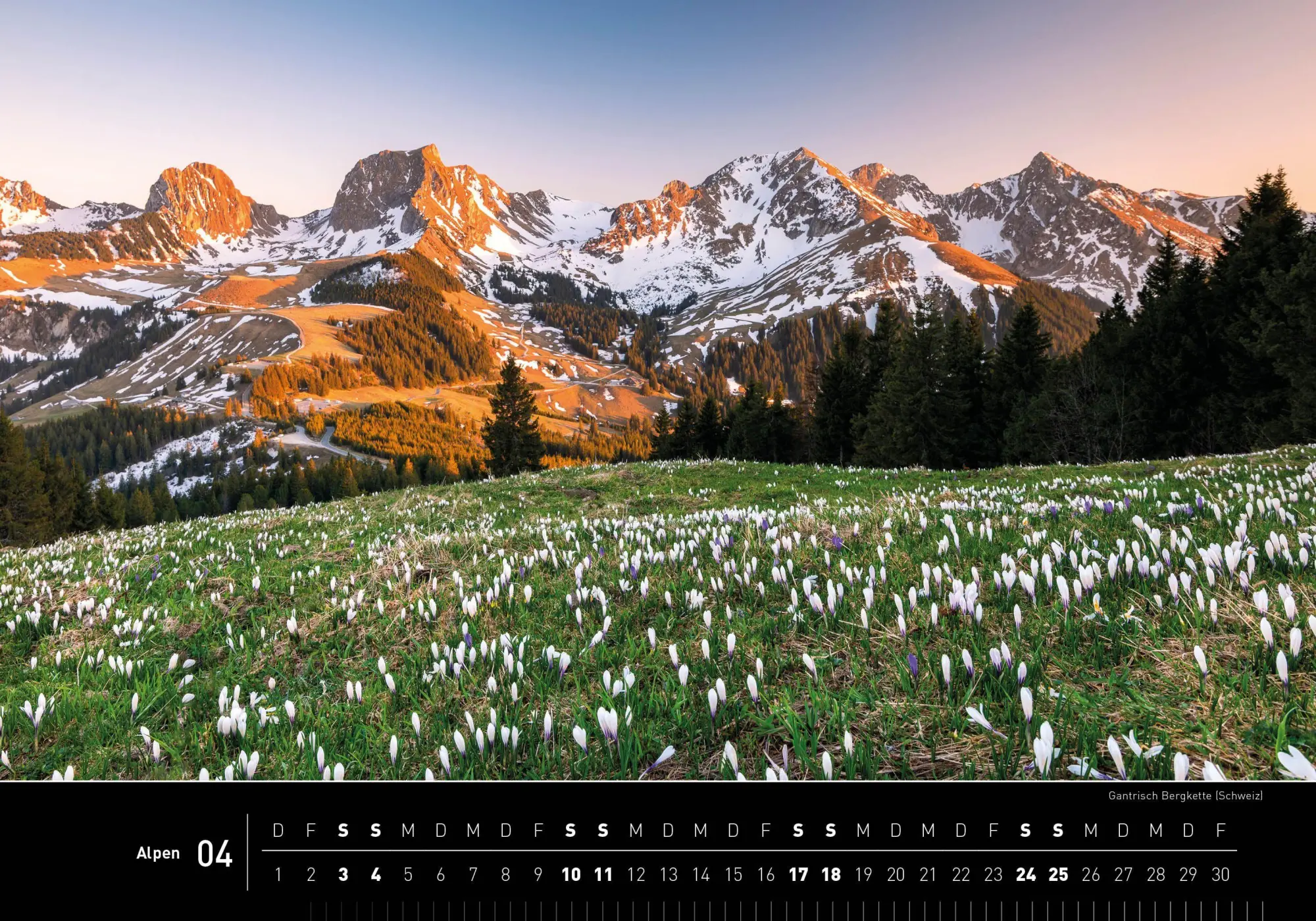 Bild: 9783968556789 | Alpen Premiumkalender 2027 | Robert Haasmann | Kalender | 14 S. | 2027