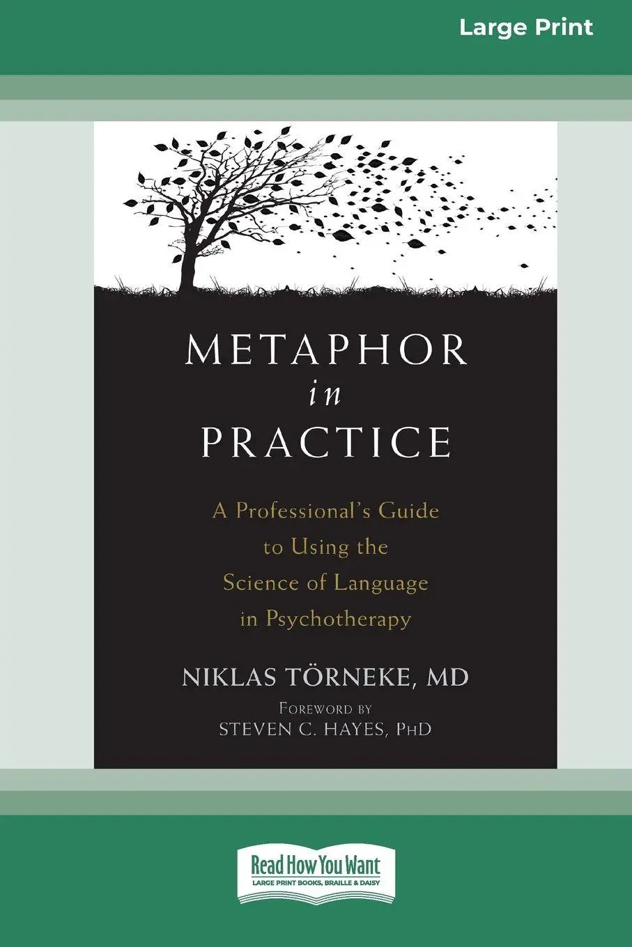 Cover: 9781038726889 | Metaphor in Practice | Niklas TÃ¶rneke | Taschenbuch | Englisch | 2018