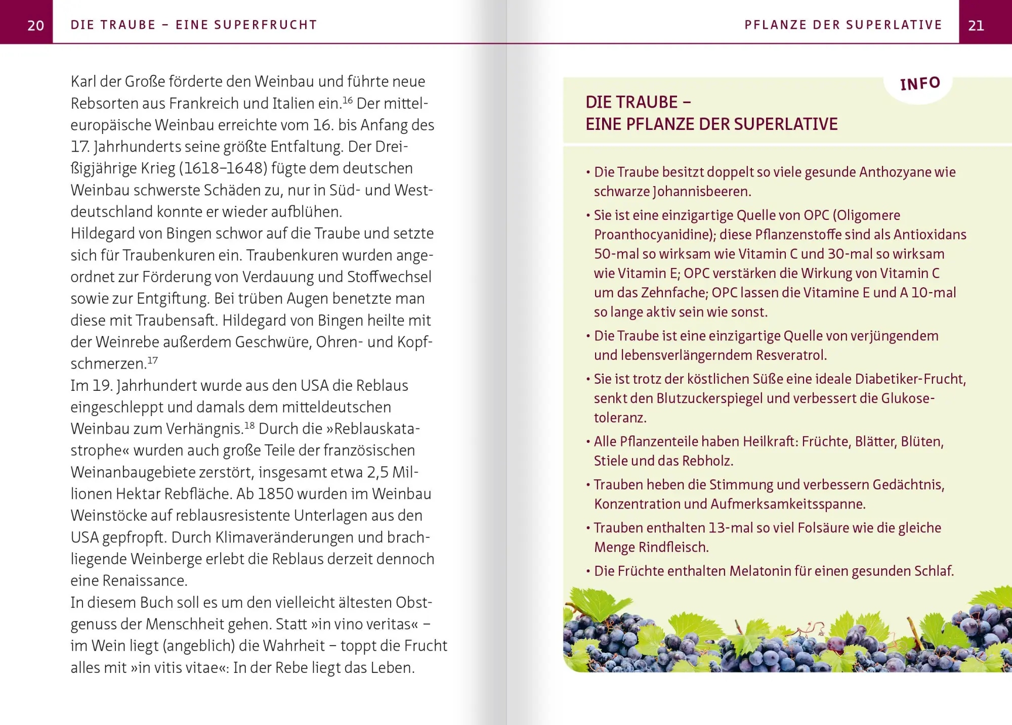 Bild: 9783863746889 | Traube und Weinrebe - Heilpflanze der Volksmedizin. Kompakt-Ratgeber