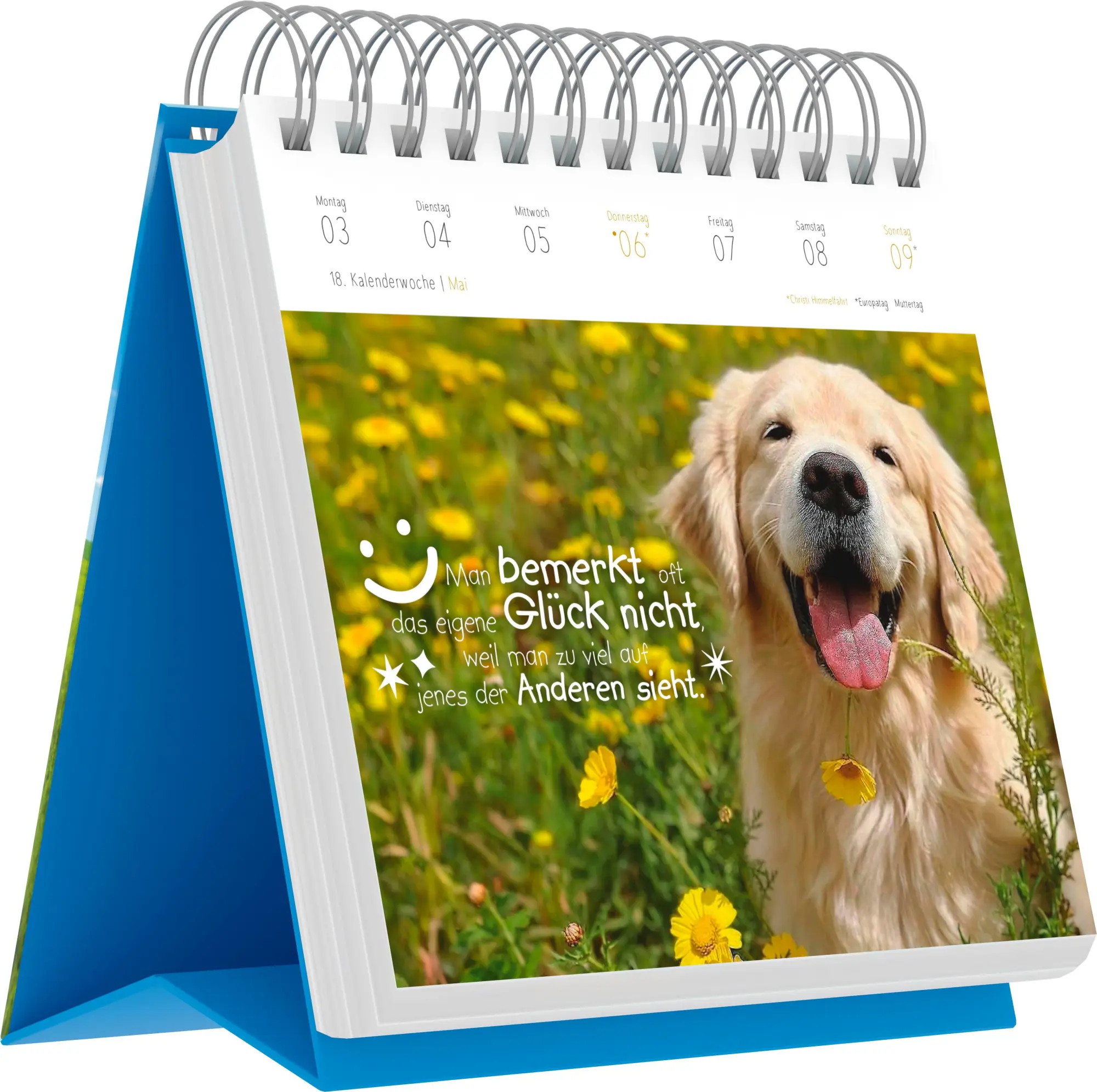 Bild: 4069095016989 | Lebensweisheiten 2027 | Neumann Verlage GmbH &amp; Co KG | Kalender | 2027