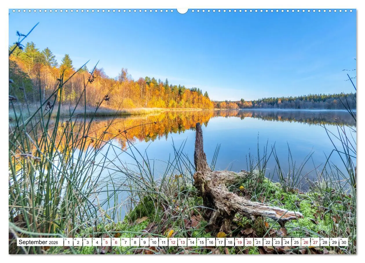 Bild: 9783457526989 | Schönes Erzgebirge (Wandkalender 2026 DIN A2 quer), CALVENDO...