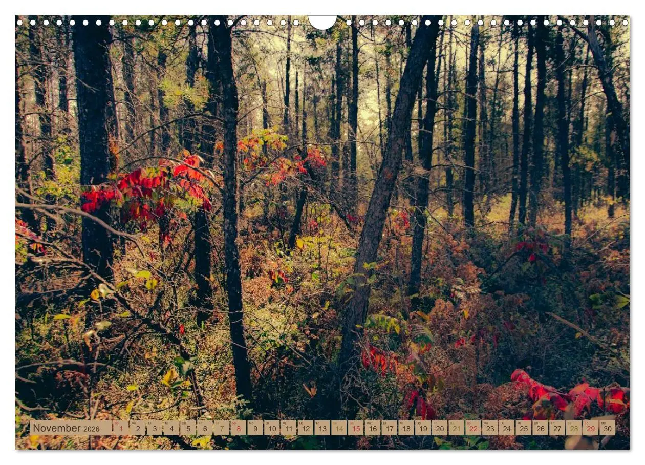 Bild: 9783457906989 | Wildwuchs 2026 (Wandkalender 2026 DIN A3 quer), CALVENDO...