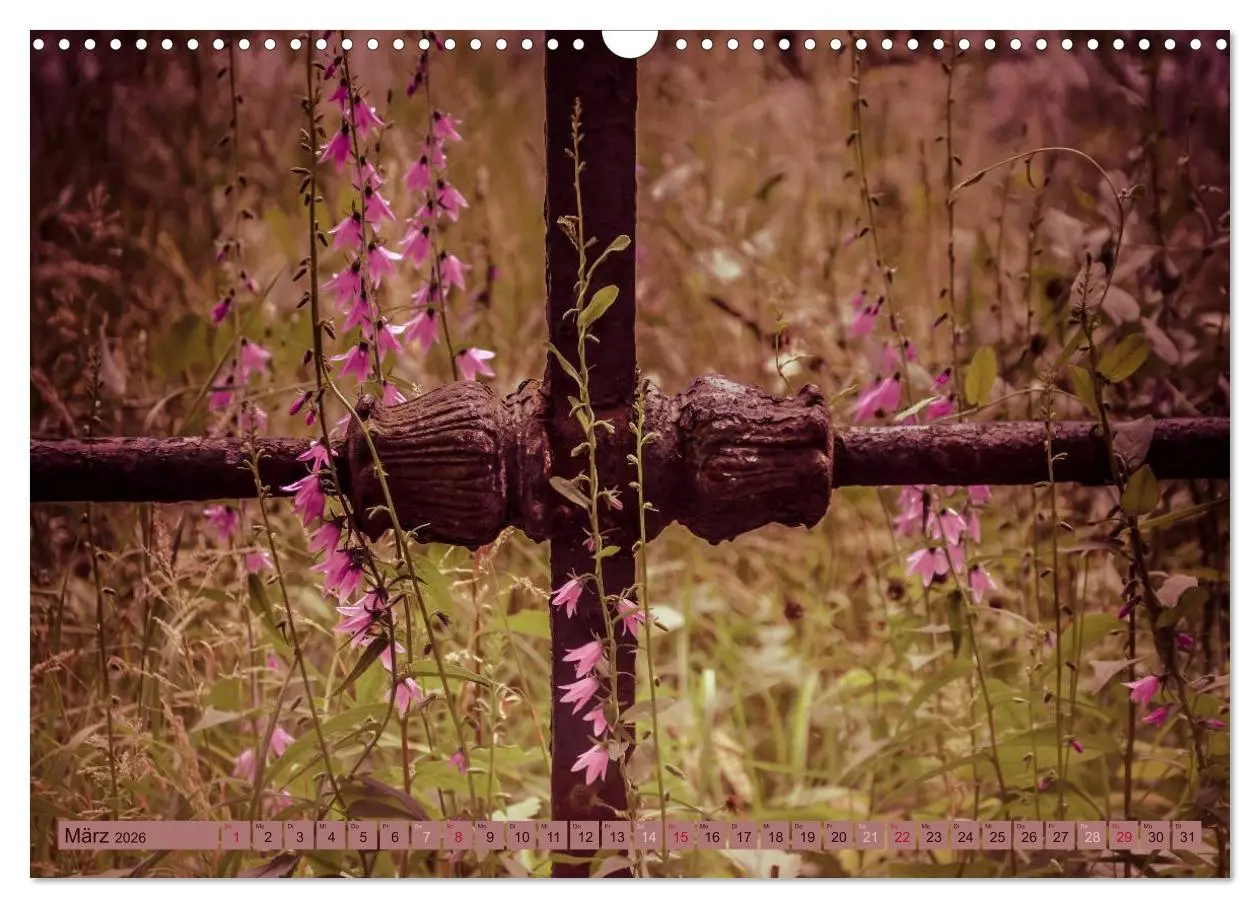 Bild: 9783457906989 | Wildwuchs 2026 (Wandkalender 2026 DIN A3 quer), CALVENDO...