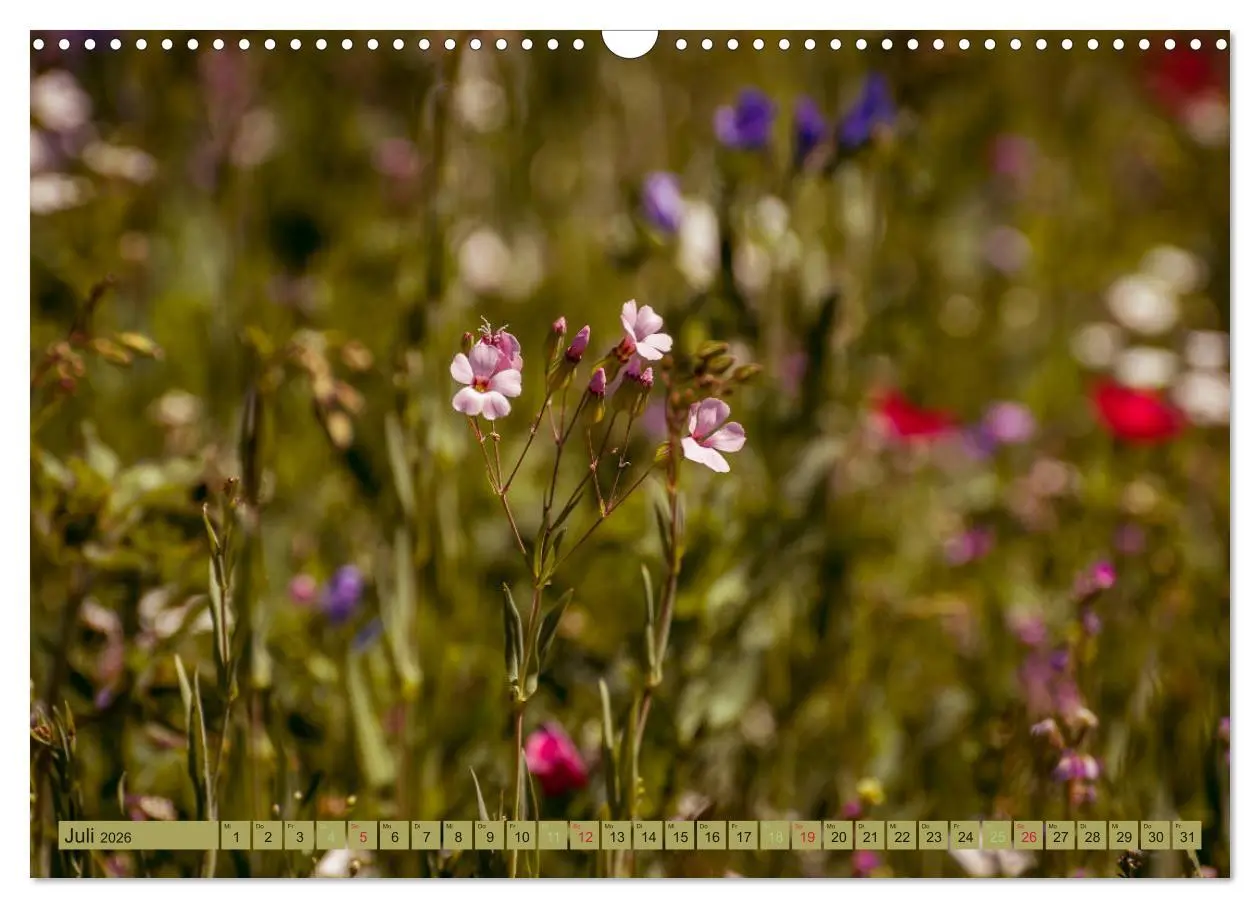 Bild: 9783457906989 | Wildwuchs 2026 (Wandkalender 2026 DIN A3 quer), CALVENDO...
