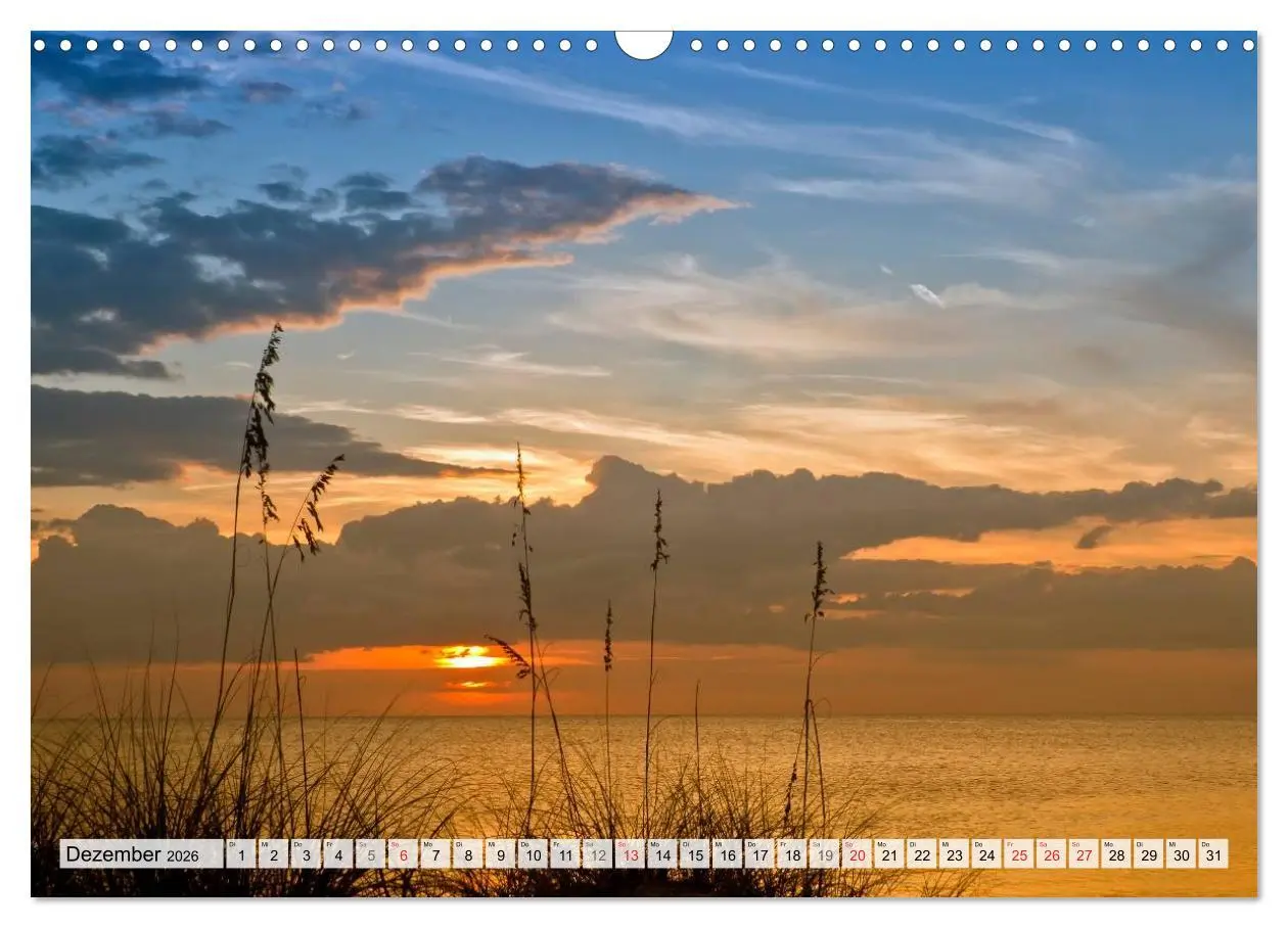 Bild: 9783516166989 | Sonne, Strand &amp; Meer (Wandkalender 2026 DIN A3 quer), CALVENDO...