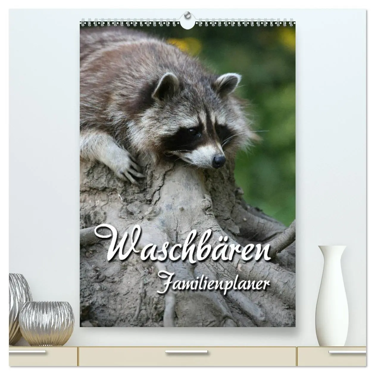 Cover: 9783516476989 | Waschbären Familienplaner (hochwertiger Premium Wandkalender 2026...