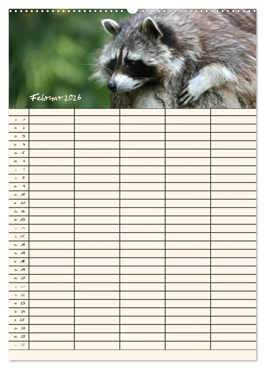 Bild: 9783516476989 | Waschbären Familienplaner (hochwertiger Premium Wandkalender 2026...