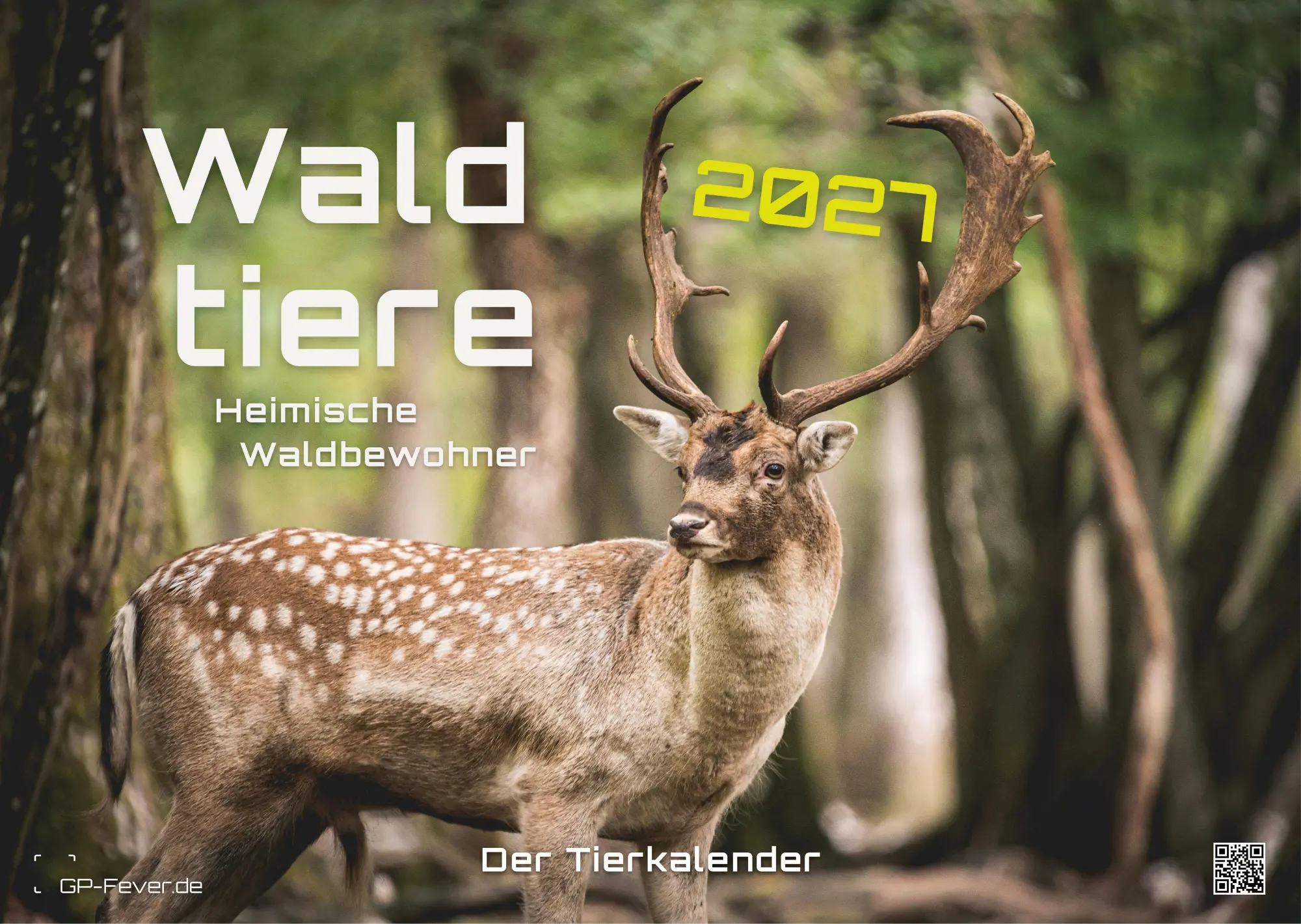 Cover: 9783986736989 | Waldtiere - Heimische Waldbewohner - Der Tierkalender - 2027 -...