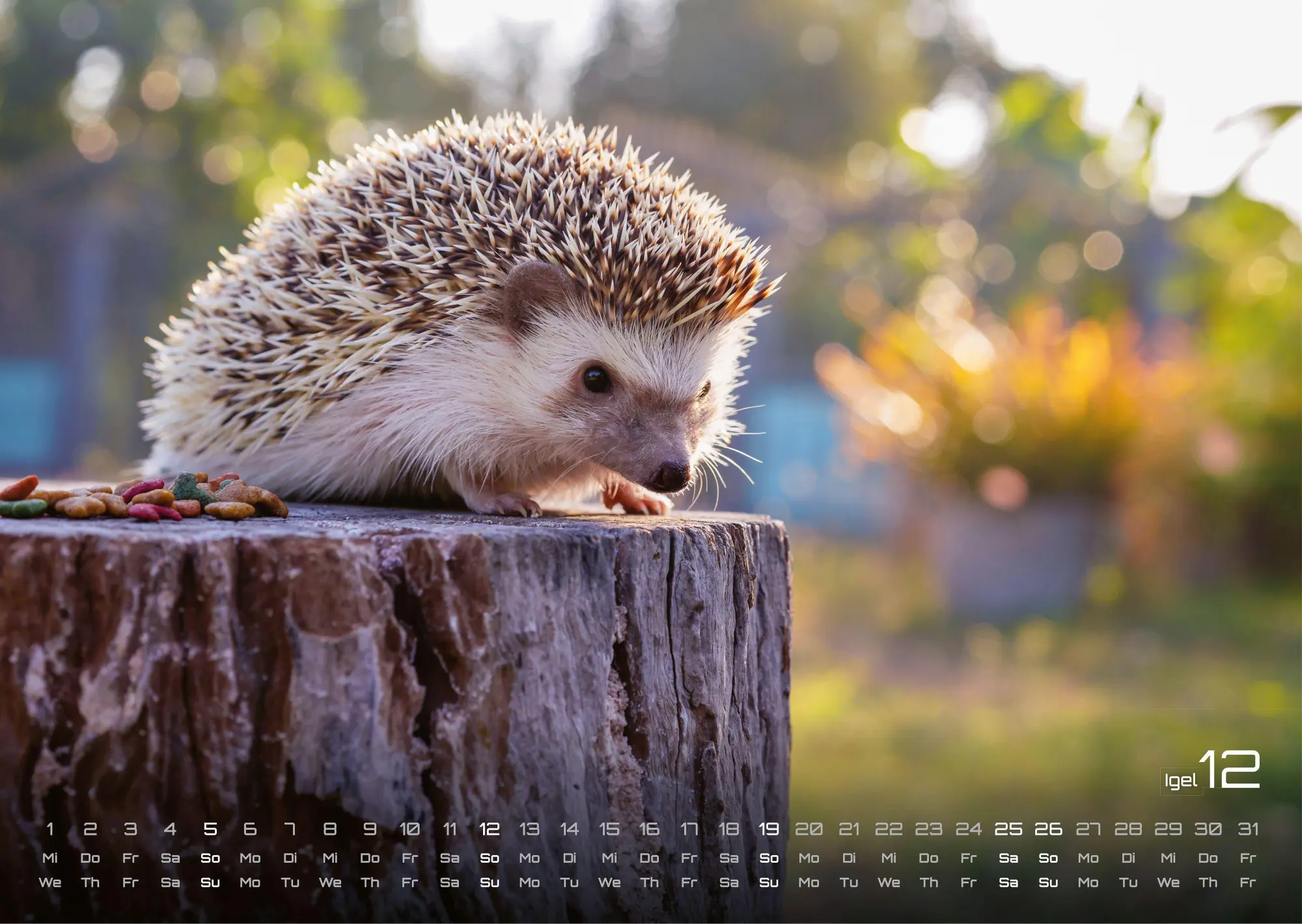 Bild: 9783986736989 | Waldtiere - Heimische Waldbewohner - Der Tierkalender - 2027 -...