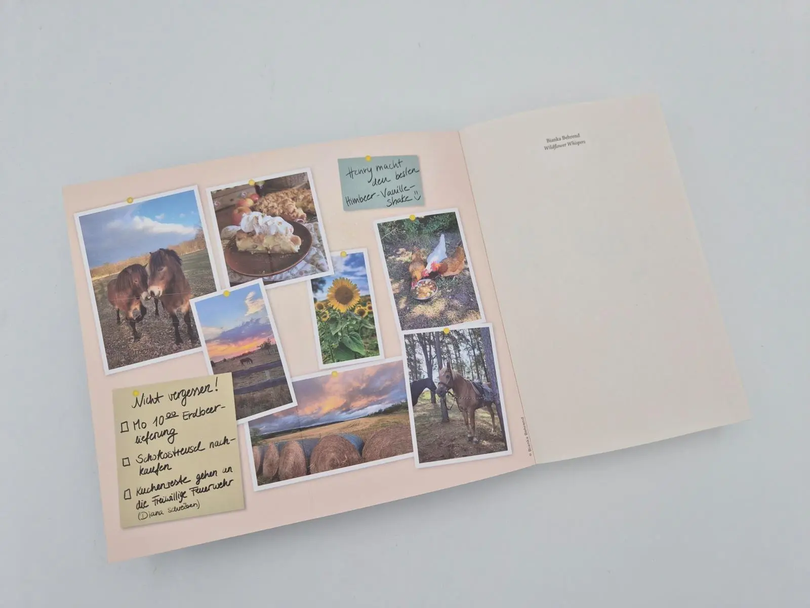 Bild: 9783492067089 | Wildflower Whispers | Bianka Behrend | Taschenbuch | 384 S. | Deutsch