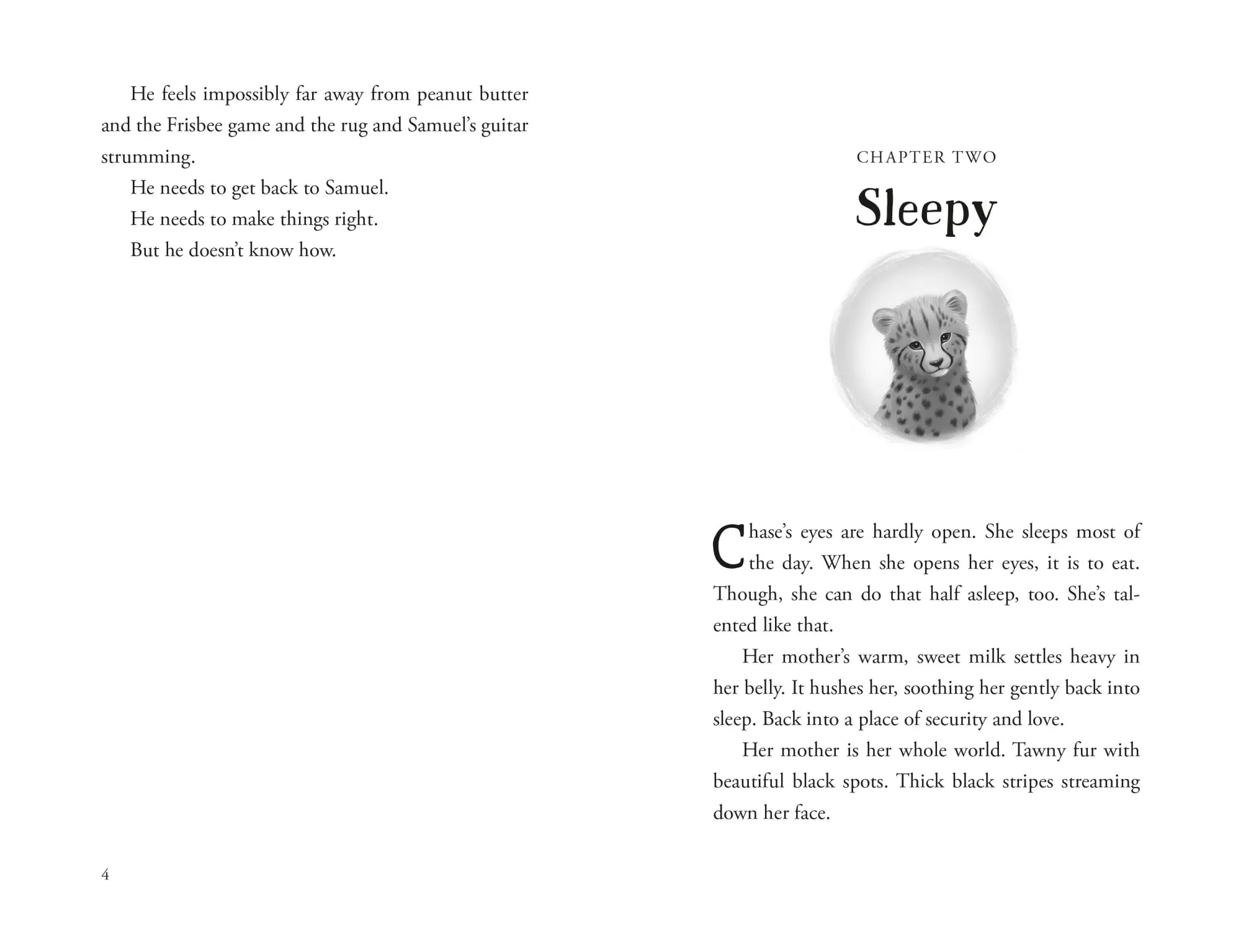 Bild: 9781250387189 | The Unlikely Tale of Chase and Finnegan | Jasmine Warga | Buch | 2026