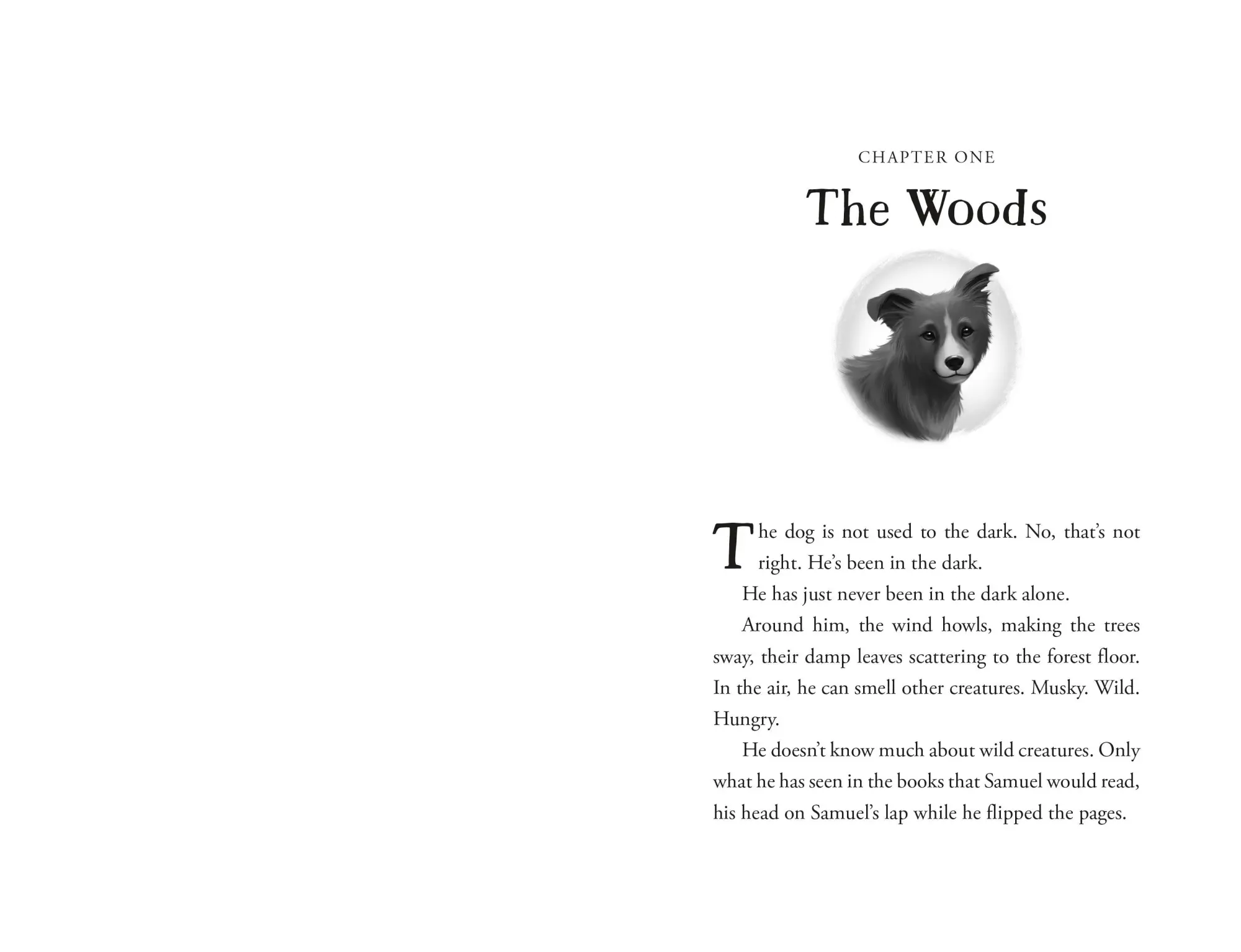Bild: 9781250387189 | The Unlikely Tale of Chase and Finnegan | Jasmine Warga | Buch | 2026