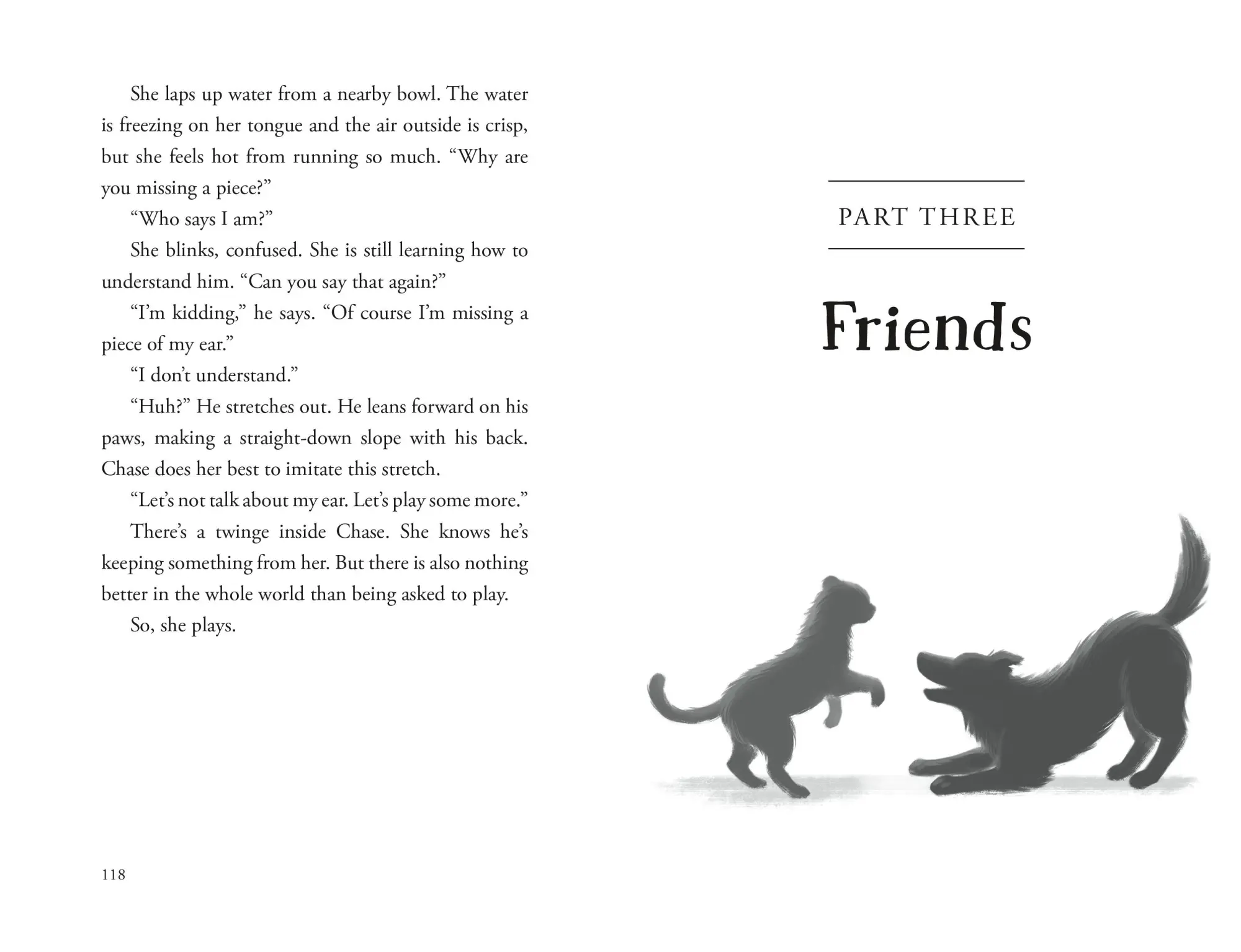Bild: 9781250387189 | The Unlikely Tale of Chase and Finnegan | Jasmine Warga | Buch | 2026