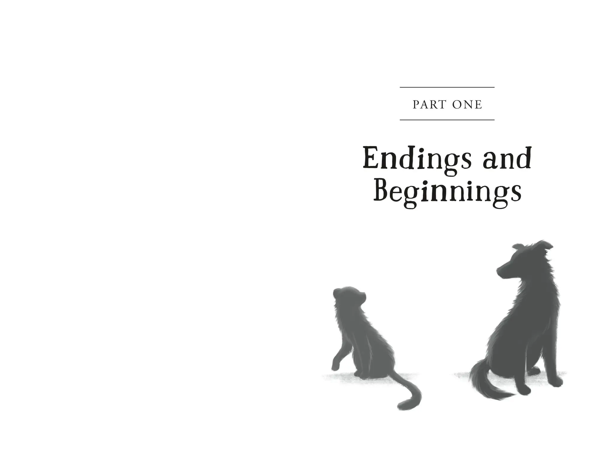 Bild: 9781250387189 | The Unlikely Tale of Chase and Finnegan | Jasmine Warga | Buch | 2026