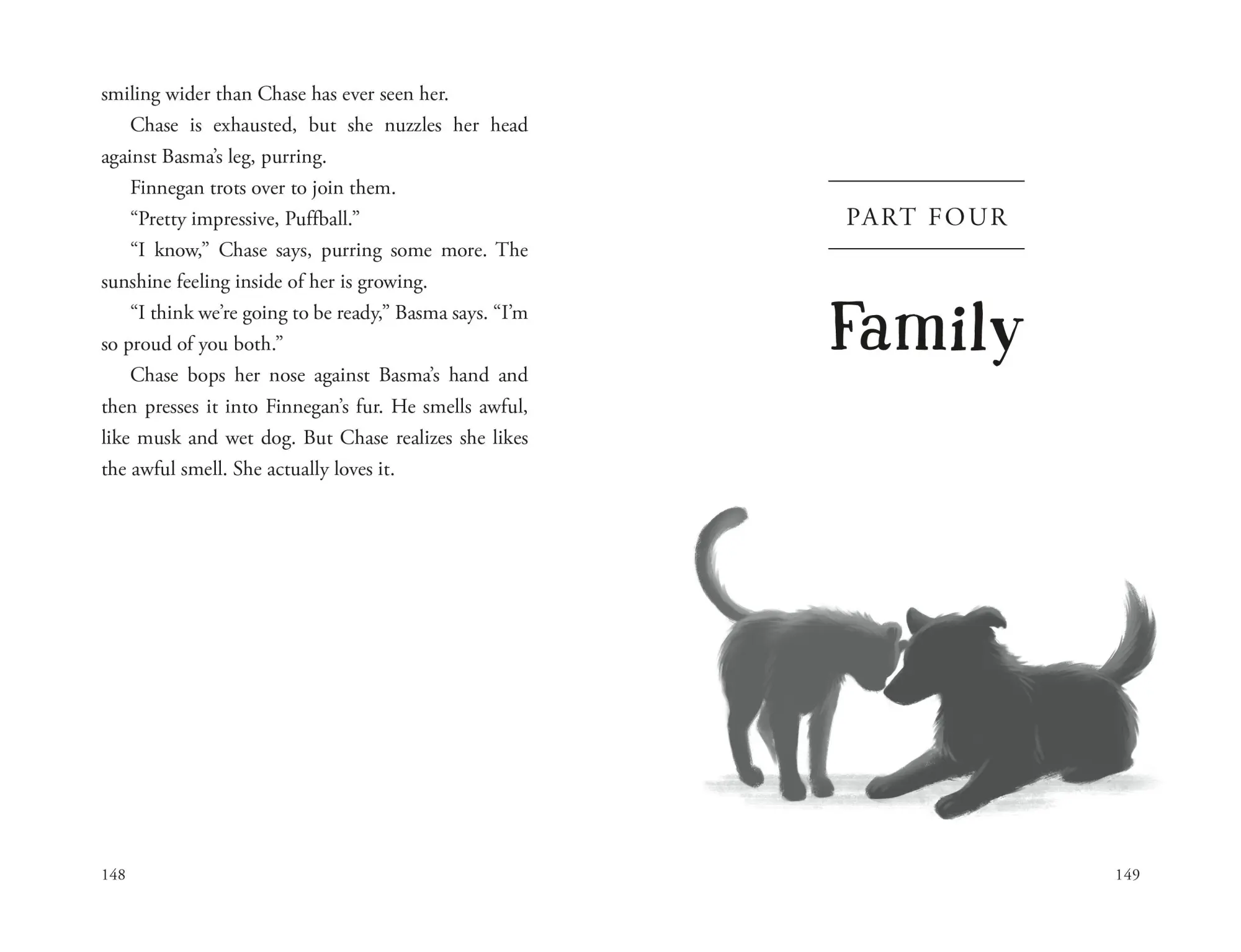 Bild: 9781250387189 | The Unlikely Tale of Chase and Finnegan | Jasmine Warga | Buch | 2026